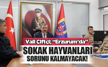 Erzurum Valisi Mustafa Çiftçi; “Erzurum’da sokak hayvanları sorunu kalmayacak dedi!………”