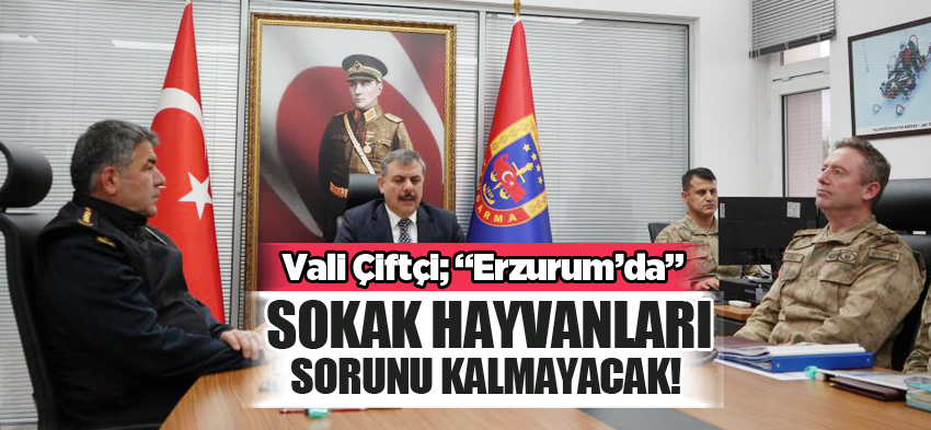 Erzurum Valisi Mustafa Çiftçi; “Erzurum’da sokak hayvanları sorunu kalmayacak dedi!………”