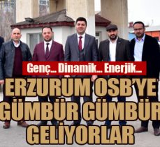 Erzurum OSB’ye gümbür gümbür geliyorlar