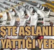 İŞTE ASLAN’IN YATTIĞI YER