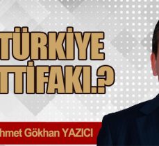 TÜRKİYE İTTİFAKI.?
