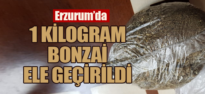 Erzurum’da 1 kilogram bonzai ele geçirildi