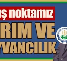 Çıkış noktamız: TARIM VE HAYVANCILIK