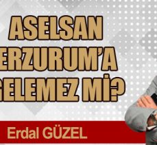 ASELSAN ERZURUM’A  GELEMEZ Mİ?