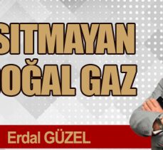 ISITMAYAN DOĞAL GAZ