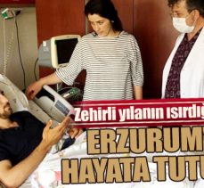Zehirli yılanın ısırdığı genç Erzurum’da hayata tutundu