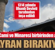 Hayran bırakıyor