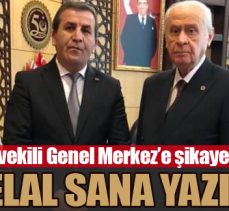 Helal sana Yazıcı
