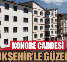 Kongre Caddesi Büyükşehir’le güzelleşti