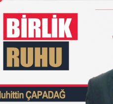 BİRLİK RUHU