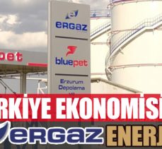 Türkiye Ekonomisine Ergaz enerjisi