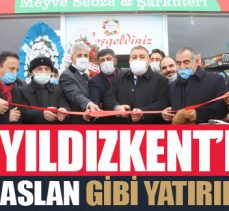 Yıldızkent’e aslan gibi yatırım