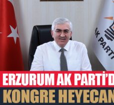AK PARTİ’DE KONGRE HEYECANI