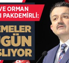 Çiğ süt destek ödemesi bugün başlıyor