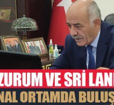Erzurum ve Sri Lanka sanal ortamda buluştu