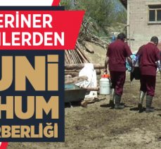 Veteriner hekimler suni tohumlama için seferber oldu
