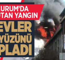 Erzurum’da korkutan yangın, alevler gökyüzünü kapladı