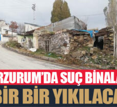 Suç binaları bir bir yıkılacak