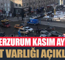 Erzurum Kasım ayı taşıt varlığı açıklandı