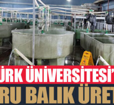 Atatürk Üniversitesi’nde yavru balık üretimi