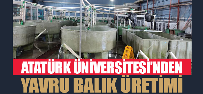 Atatürk Üniversitesi’nde yavru balık üretimi