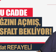 Bu cadde ağzını açmış, asfalt bekliyor!