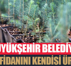Daha “Yeşil bir Erzurum” için