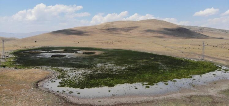 20 farklı göçmen kuş türüne ev sahipliği yapan Nenehatun gölü kurudu.