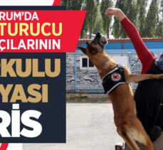 Özel eğitimli Narkotik Madde Arama Köpeği ‘Eris’ uyuşturucu kaçakçılarına geçit vermiyor!.