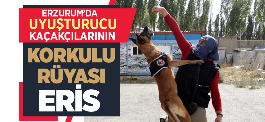 Özel eğitimli Narkotik Madde Arama Köpeği ‘Eris’ uyuşturucu kaçakçılarına geçit vermiyor!.