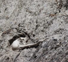 Oltu ilçesinde yol kenarında yol kenarında toprağa gömülü insan kemikleri dikkat çekiyor.