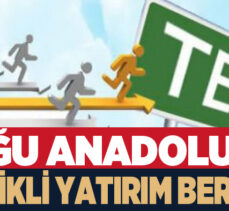 Erzurum’un içinde yer aldığı Doğu Anadolu  Coğrafi Bölgesinde teşvikli yatırım bereketi!