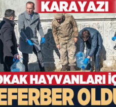 Karayazı’da Kaymakamlık, Belediye ve İlçe Tarım Orman Müdürlüğü sokak hayvanlarını unutmadı!