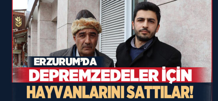 Erzurum Oltu’da 8 dana bir düveyi satarak deprem zedelere 101 bin 50 lira destek oldular.