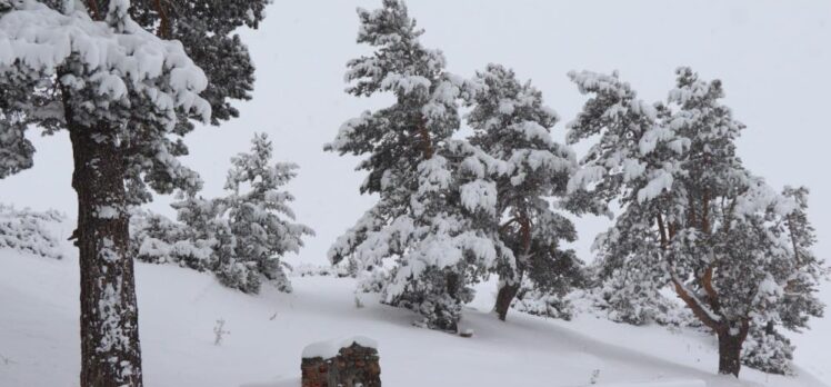 Erzurum’un Oltu ilçesinin yüksek kesimlerinde kar kalınlığı 40 santimetreye kadar ulaştı.