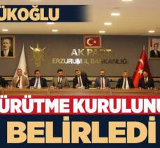 Erzurum AK Parti İl Başkanı Av. İbrahim Küçükoğlu, yönetimin yürütme kurulunu belirledi.