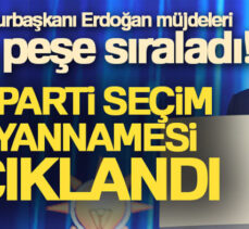 Cumhurbaşkanı Recep Tayyip Erdoğan, AK Parti  Milletvekili Aday Tanıtım Toplantısı’nda konuştu.