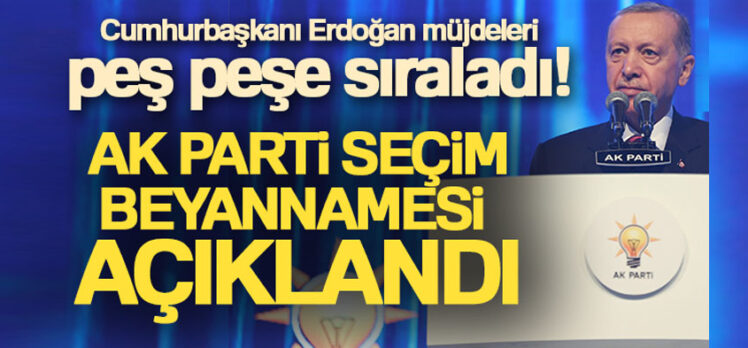Cumhurbaşkanı Recep Tayyip Erdoğan, AK Parti  Milletvekili Aday Tanıtım Toplantısı’nda konuştu.