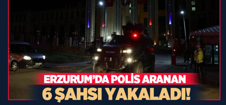 Erzurum Emniyet Müdürlüğü tarafından yapılan denetim ve aramalarda 6 kişi yakalandı.