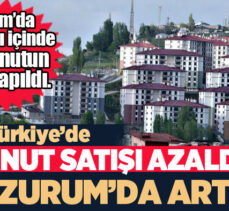 Erzurum’da Mayıs ayı içinde konut satışı Türkiye ortalamasının üzerinde gerçekleşti!…