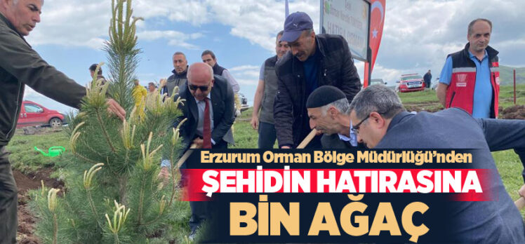 Erzurum Orman Bölge Müdürlüğü, Şehit Osman Nurettin Tokyürek adına hatıra ormanı oluşturdu.