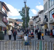 Gelir İdaresi Başkanlığı 2023 yılı Haziran dönemi faal vergi mükellefi verilerini paylaştı.