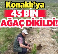 Erzurum Orman Bölge Müdürlüğü, Konaklı Kayak Merkezi’ndeki ağaçlandırmayı sürdürüyor.
