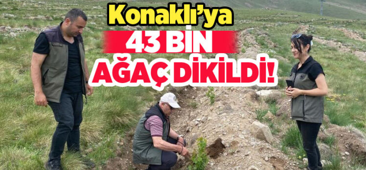Erzurum Orman Bölge Müdürlüğü, Konaklı Kayak Merkezi’ndeki ağaçlandırmayı sürdürüyor.