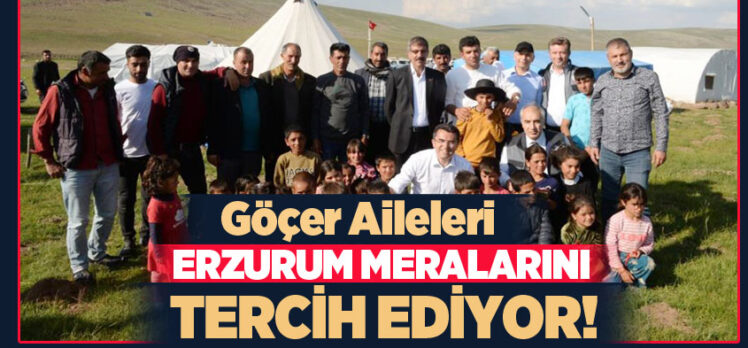 Türkiye’nin mera varlığının yüzde 11’ine sahip Erzurum, göçer ailelere ev sahipliği yapıyor!..