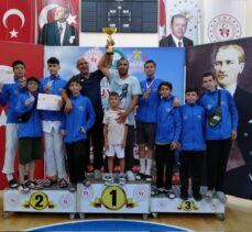 Erzurum Erkek Taekwondo takımının genç sporcularının Analig Türkiye finallerinde başarısı!
