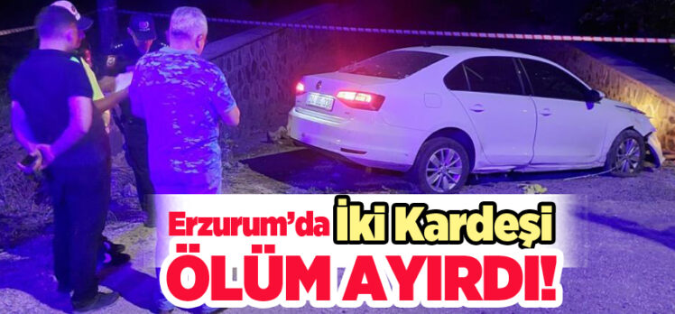 Erzurum’daki trafik kazasında 24 yaşındaki genç hayatını kaybederken, kardeşi de yaralandı.