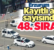 Erzurum 129 bin 175 kayıtlı araçla Türkiye sıralamasında 48. basamakta yer aldı.