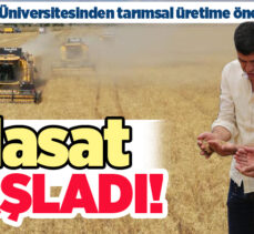 Atatürk Üniversitesi, yerleşkesinde buğday, karabuğday, dane mısır ve silajlık mısır hasadına başladı.