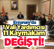 Cumhurbaşkanı Erdoğan’ın imzasıyla Resmi Gazete’de yayımlanan atama kararlarına göre yapıldı. 